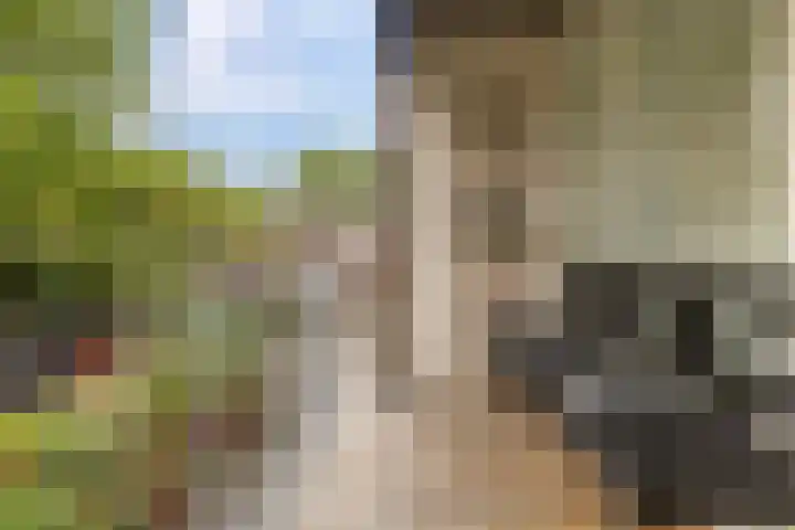 Barmaheerd 37 Groningen thumbnail 19