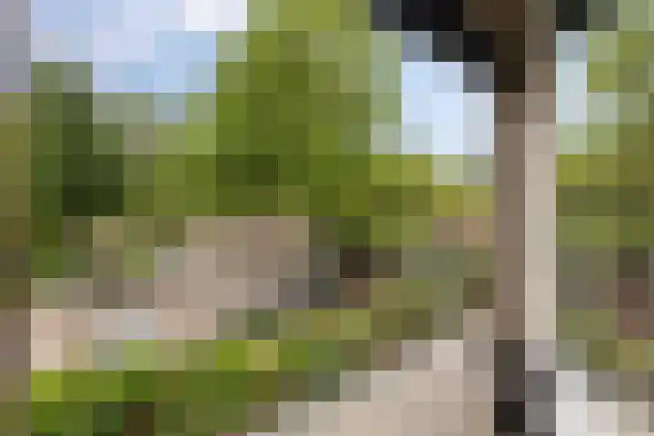 Barmaheerd 37 Groningen thumbnail 20