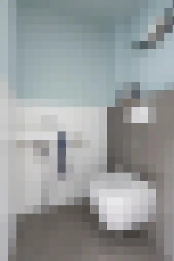Barmaheerd 37 Groningen thumbnail 21