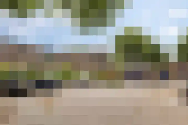 Barmaheerd 37 Groningen thumbnail 23