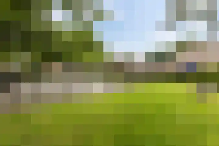 Barmaheerd 37 Groningen thumbnail 27
