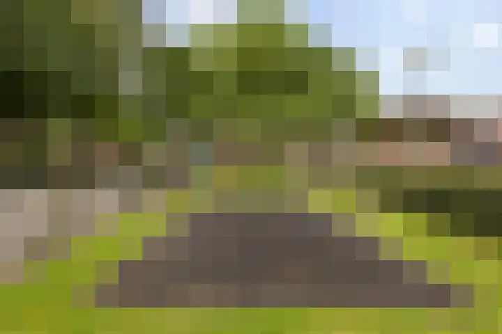 Barmaheerd 37 Groningen thumbnail 28