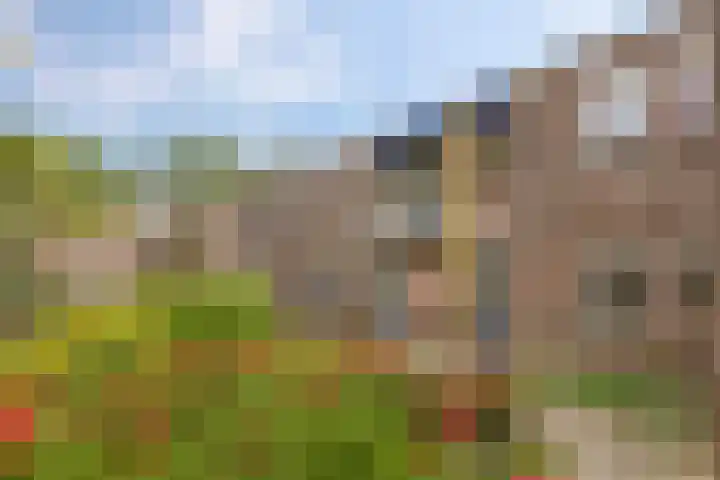 Barmaheerd 37 Groningen thumbnail 32