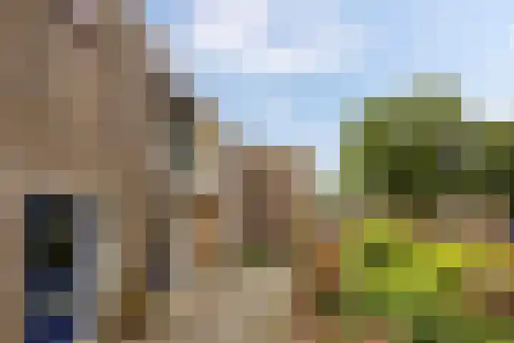 Barmaheerd 37 Groningen thumbnail 4