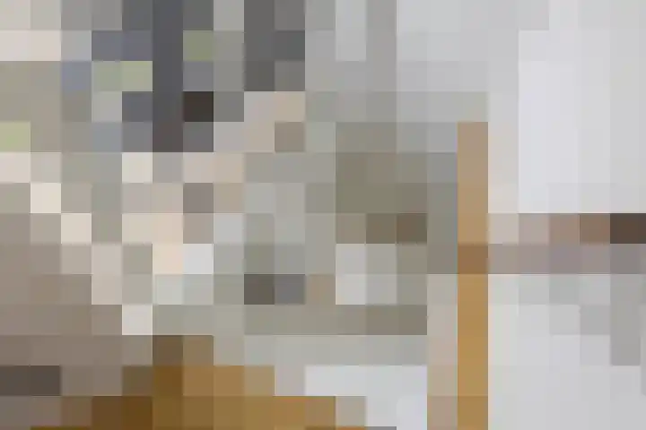 Barmaheerd 37 Groningen thumbnail 6