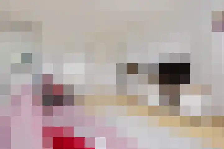 Barmaheerd 37 Groningen thumbnail 9