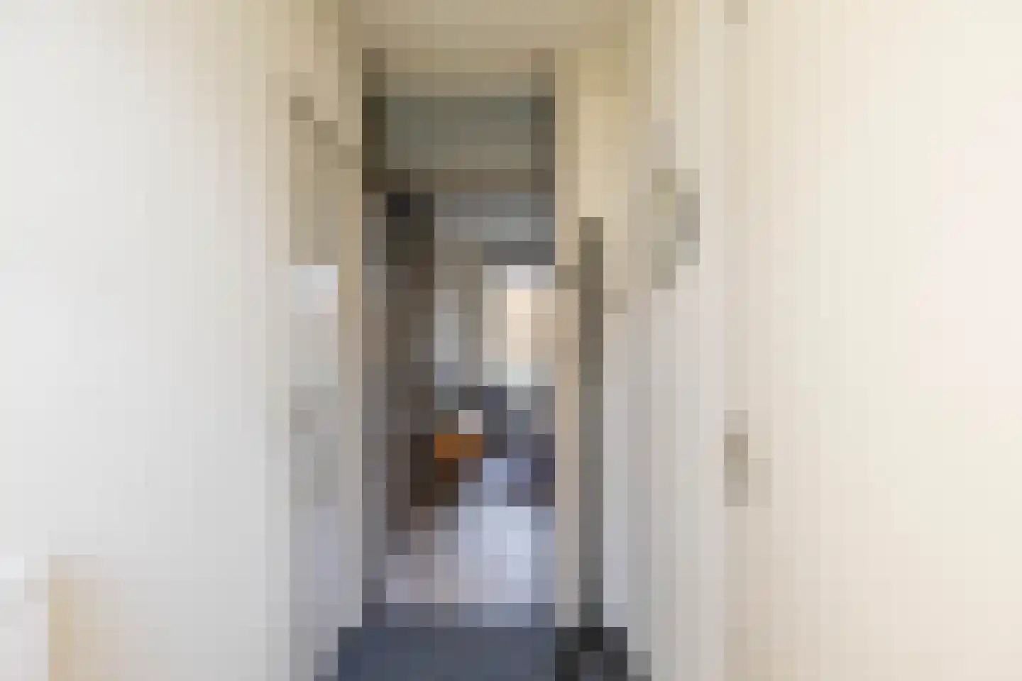 Barmaheerd 38 Groningen thumbnail 10