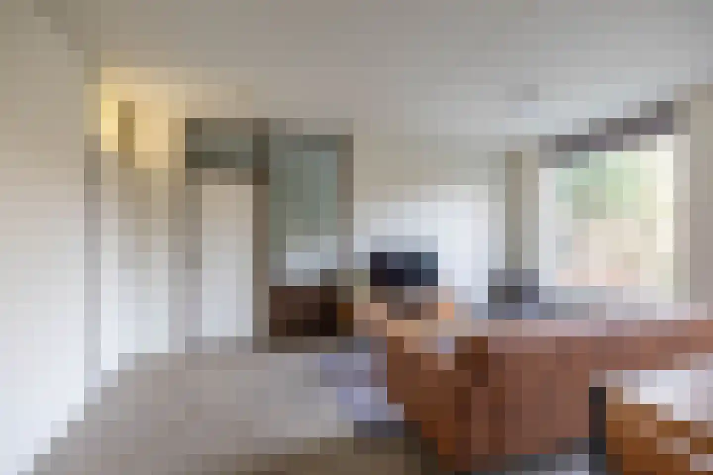 Barmaheerd 38 Groningen thumbnail 24