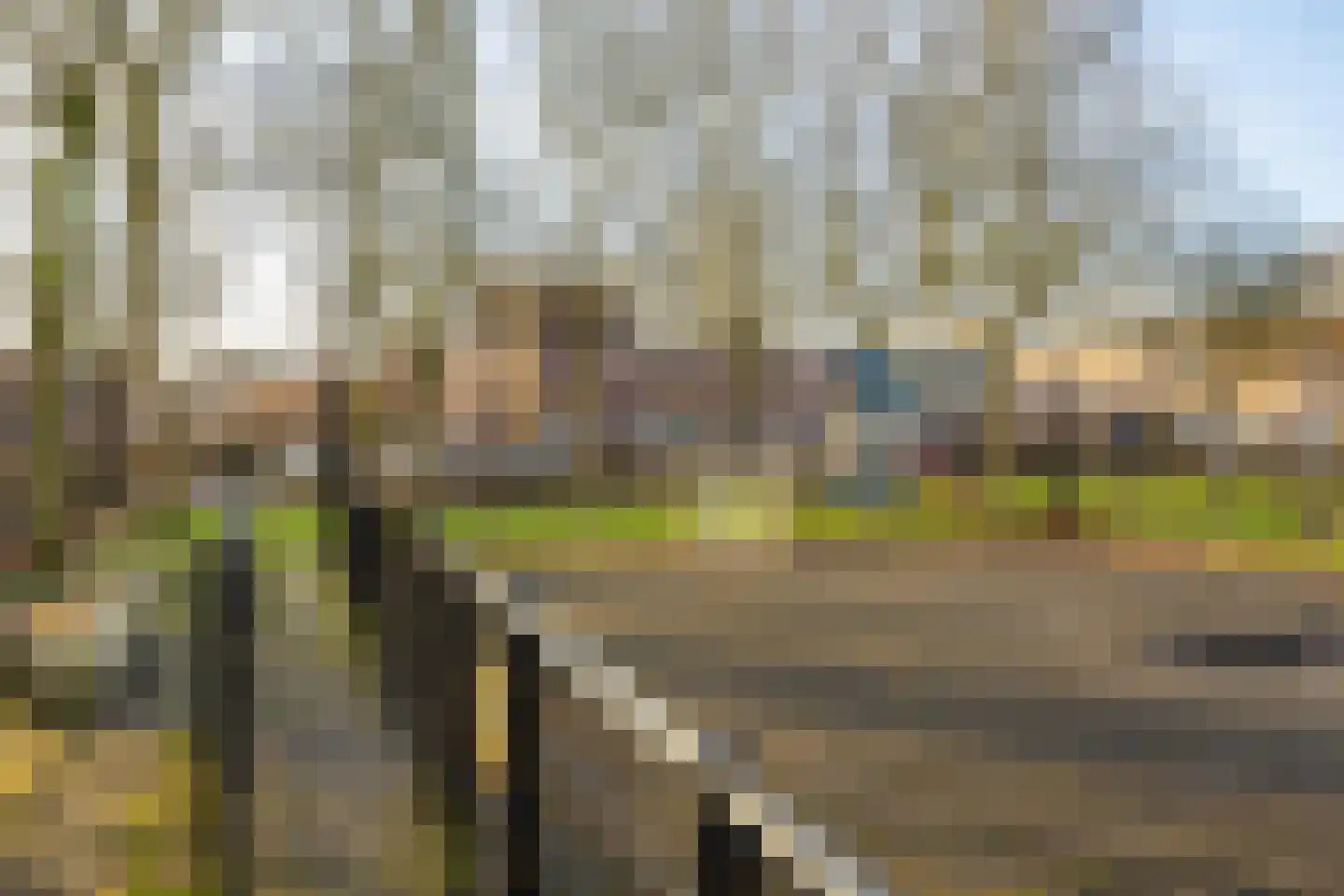 Barmaheerd 38 Groningen thumbnail 36