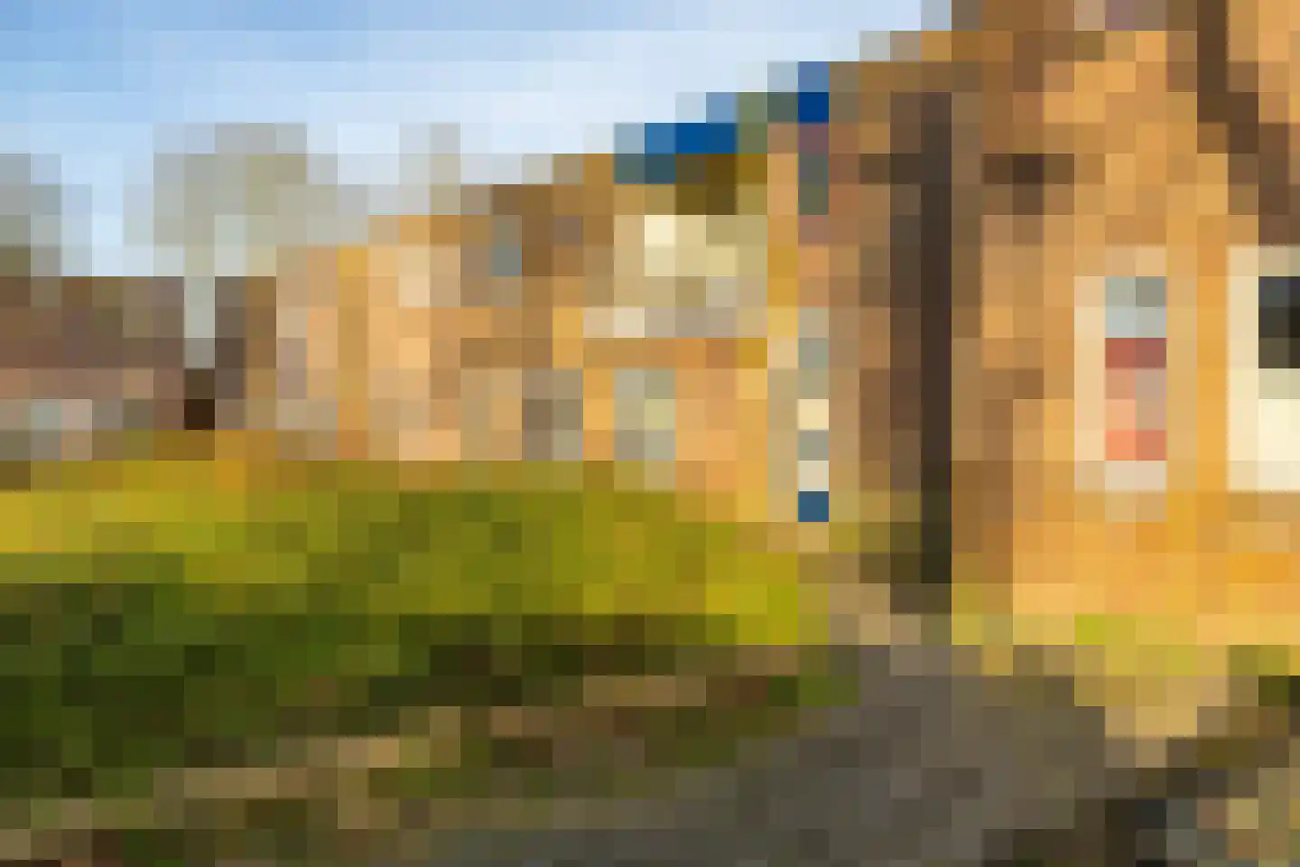 Barmaheerd 38 Groningen thumbnail 5