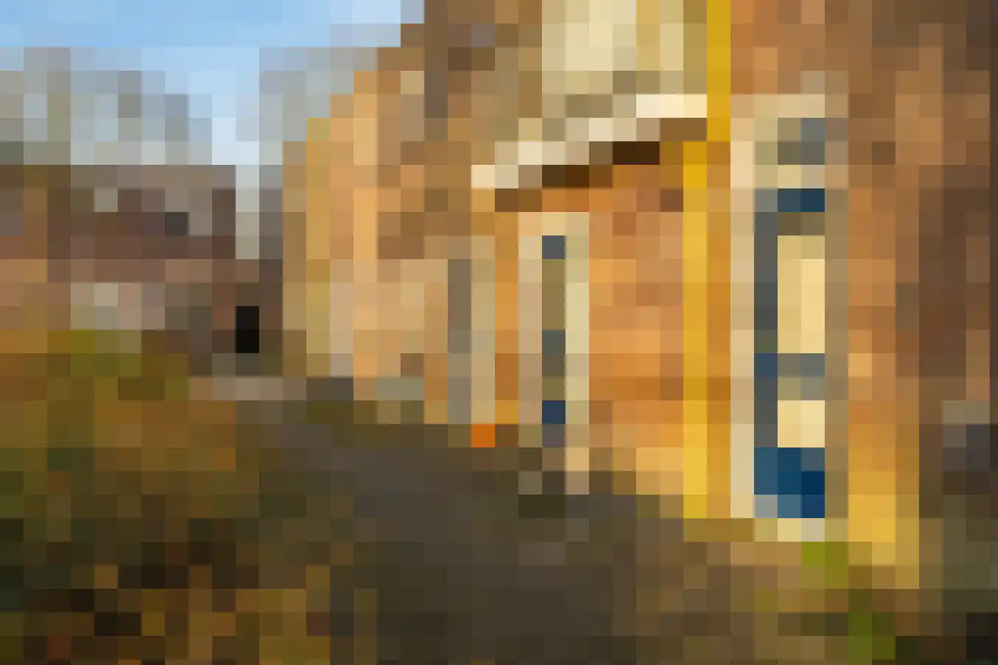 Barmaheerd 38 Groningen thumbnail 6
