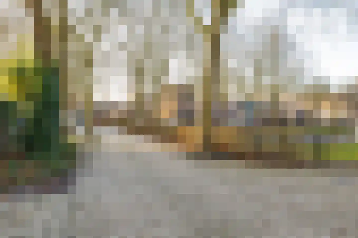 Barmaheerd 38 Groningen thumbnail 9