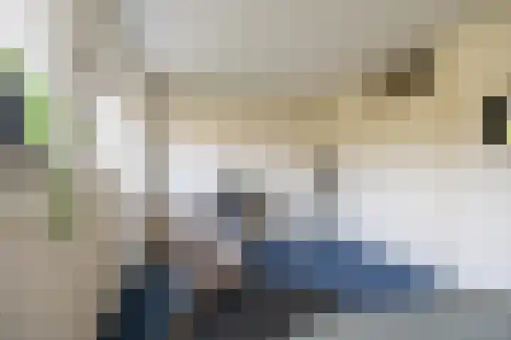 Barmaheerd 42 Groningen thumbnail 18