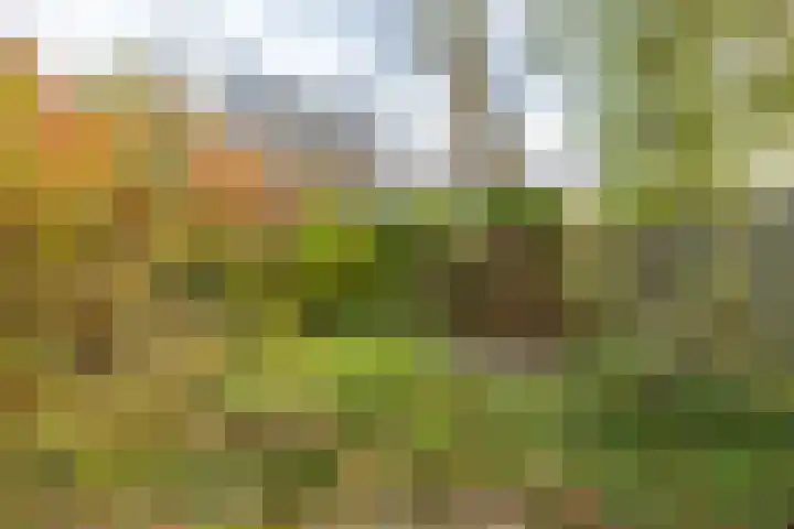 Barmaheerd 42 Groningen thumbnail 28