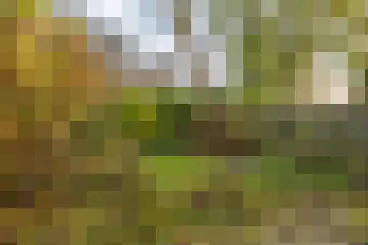Barmaheerd 42 Groningen thumbnail 29
