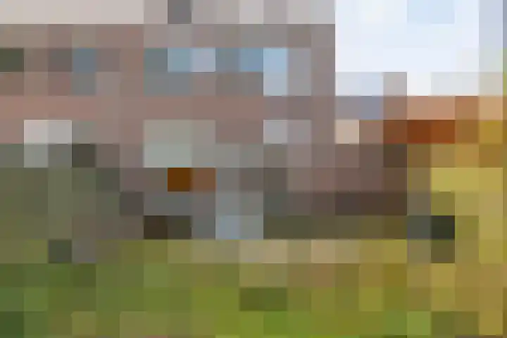 Barmaheerd 42 Groningen thumbnail 30