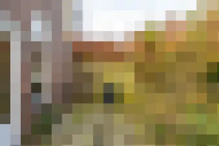 Barmaheerd 42 Groningen thumbnail 31