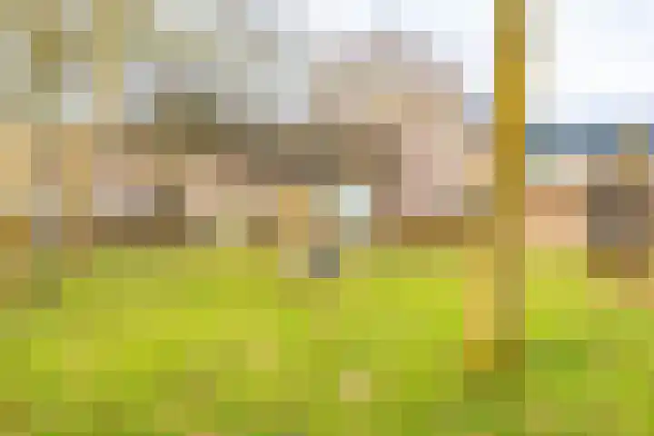 Barmaheerd 42 Groningen thumbnail 33