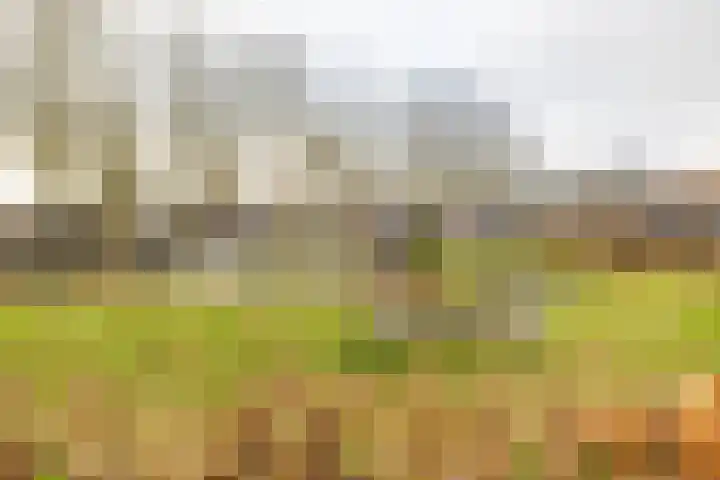 Barmaheerd 42 Groningen thumbnail 34