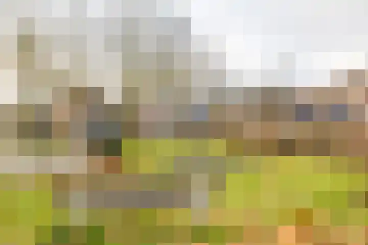 Barmaheerd 42 Groningen thumbnail 4