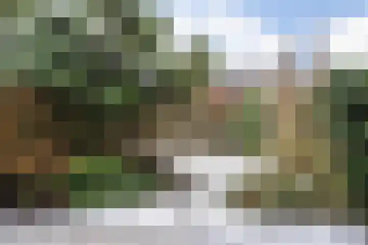 Barmaheerd 70 Groningen thumbnail 13