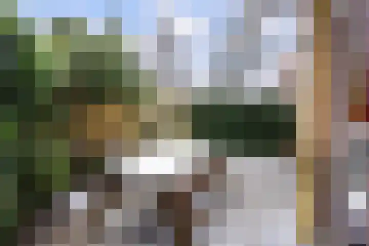 Barmaheerd 70 Groningen thumbnail 14