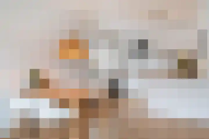 Barmaheerd 70 Groningen thumbnail 17