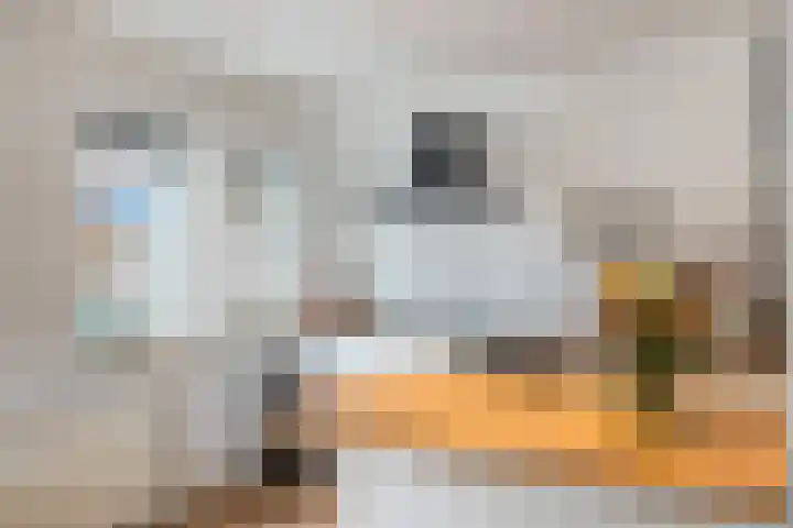 Barmaheerd 70 Groningen thumbnail 18