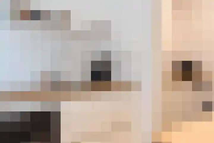 Barmaheerd 70 Groningen thumbnail 21