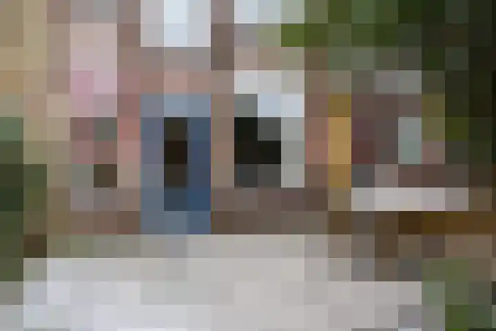Barmaheerd 70 Groningen thumbnail 30