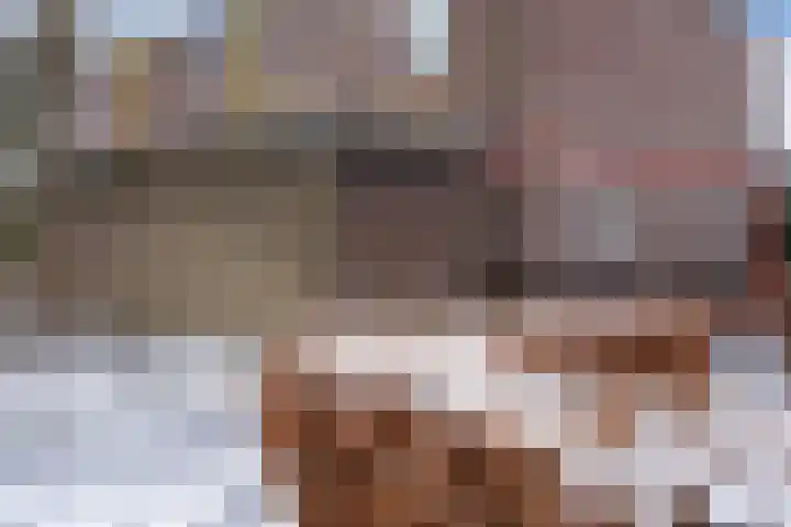 Barmaheerd 70 Groningen thumbnail 36