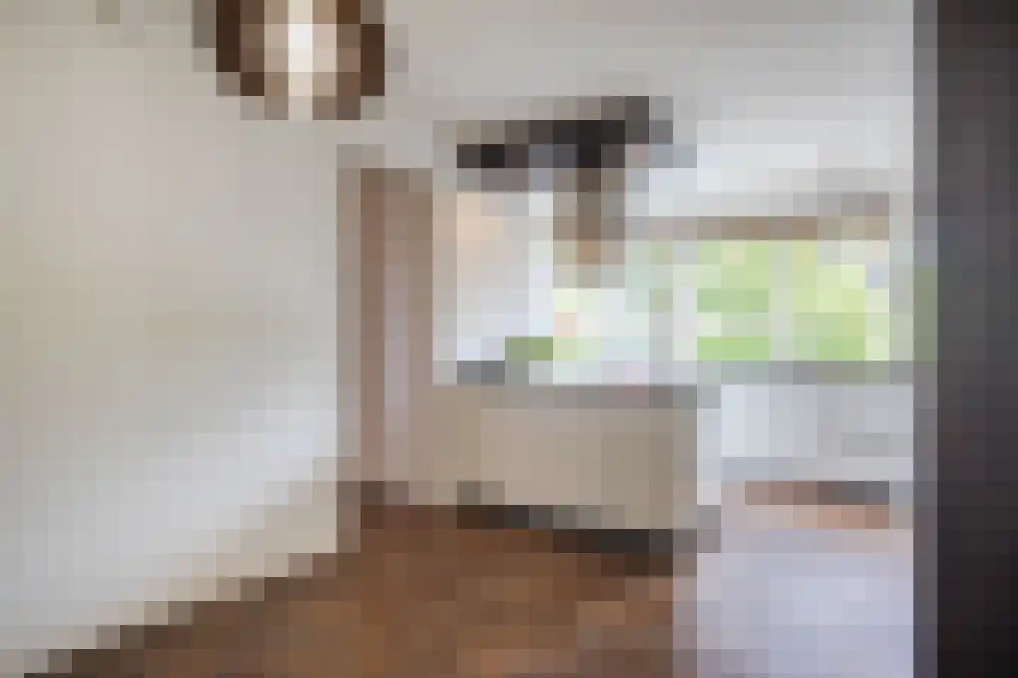 Barmelskamp 16 Zutphen thumbnail 17