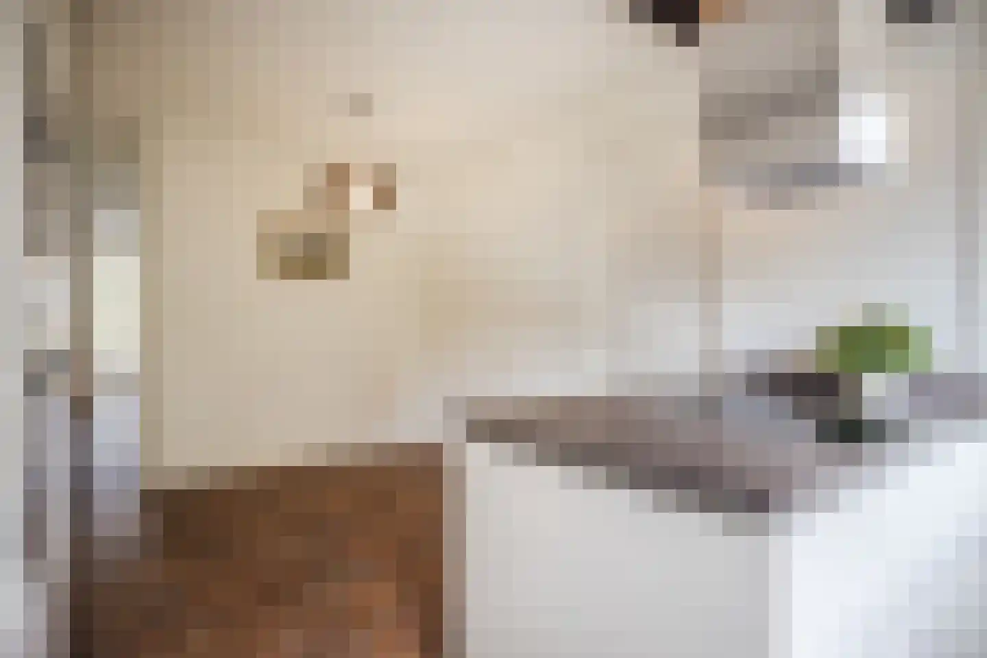 Barmelskamp 16 Zutphen thumbnail 19