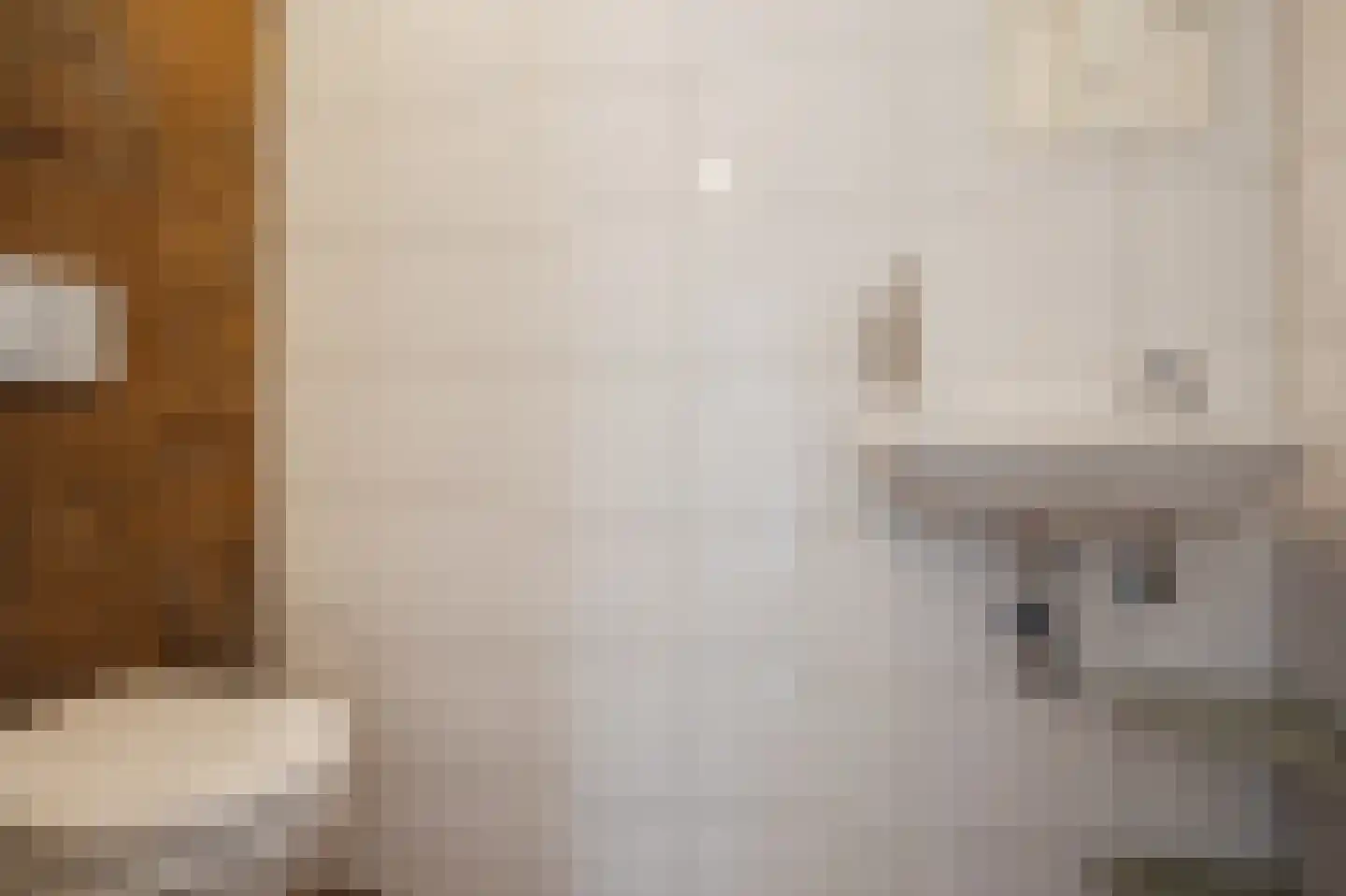 Barmelskamp 16 Zutphen thumbnail 27