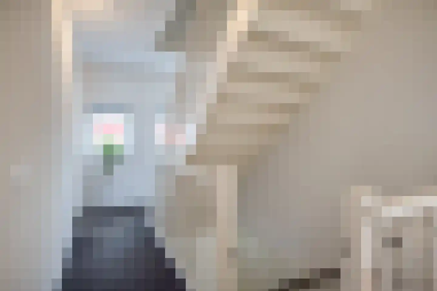 Barmelskamp 16 Zutphen thumbnail 43