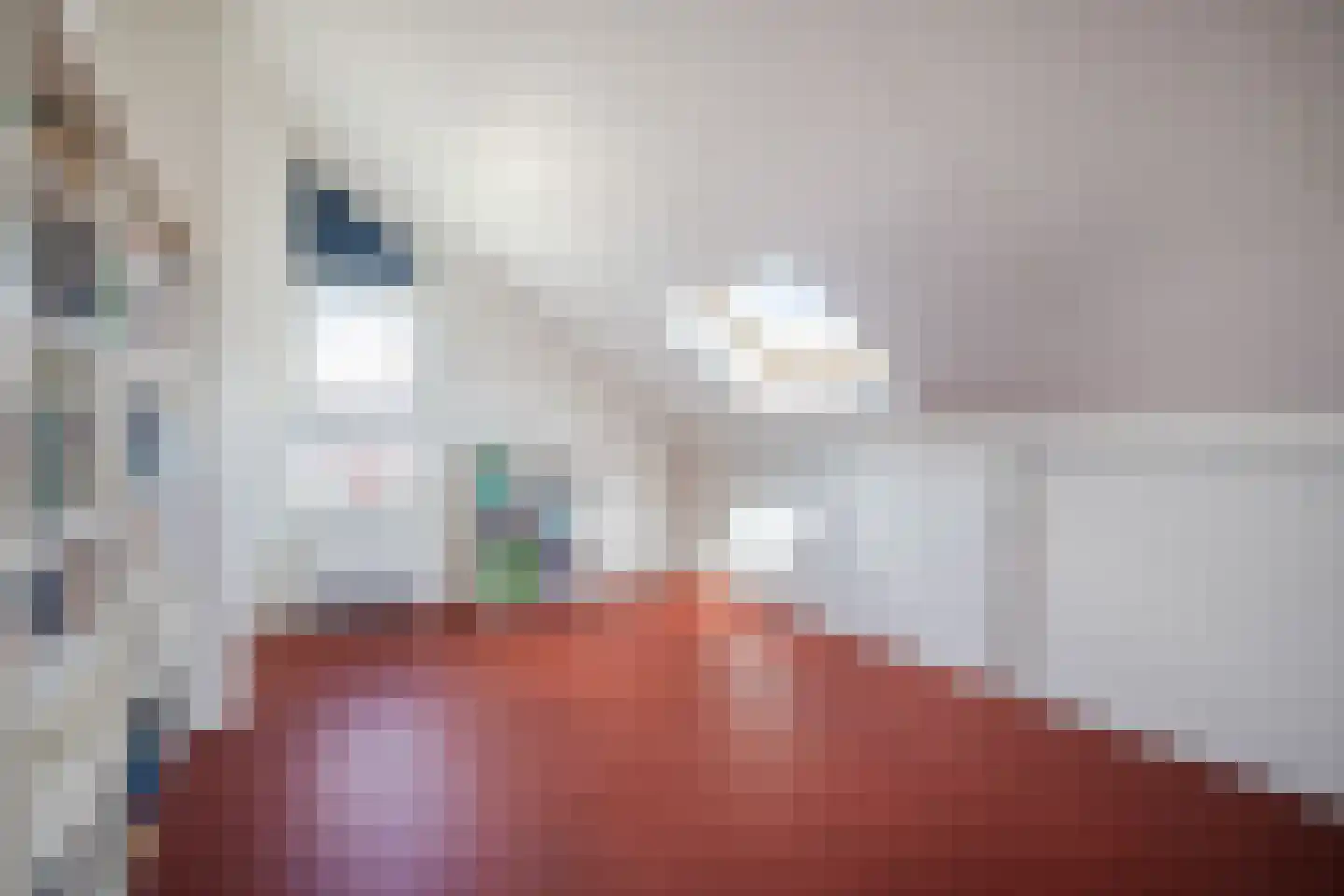 Barmelskamp 16 Zutphen thumbnail 47