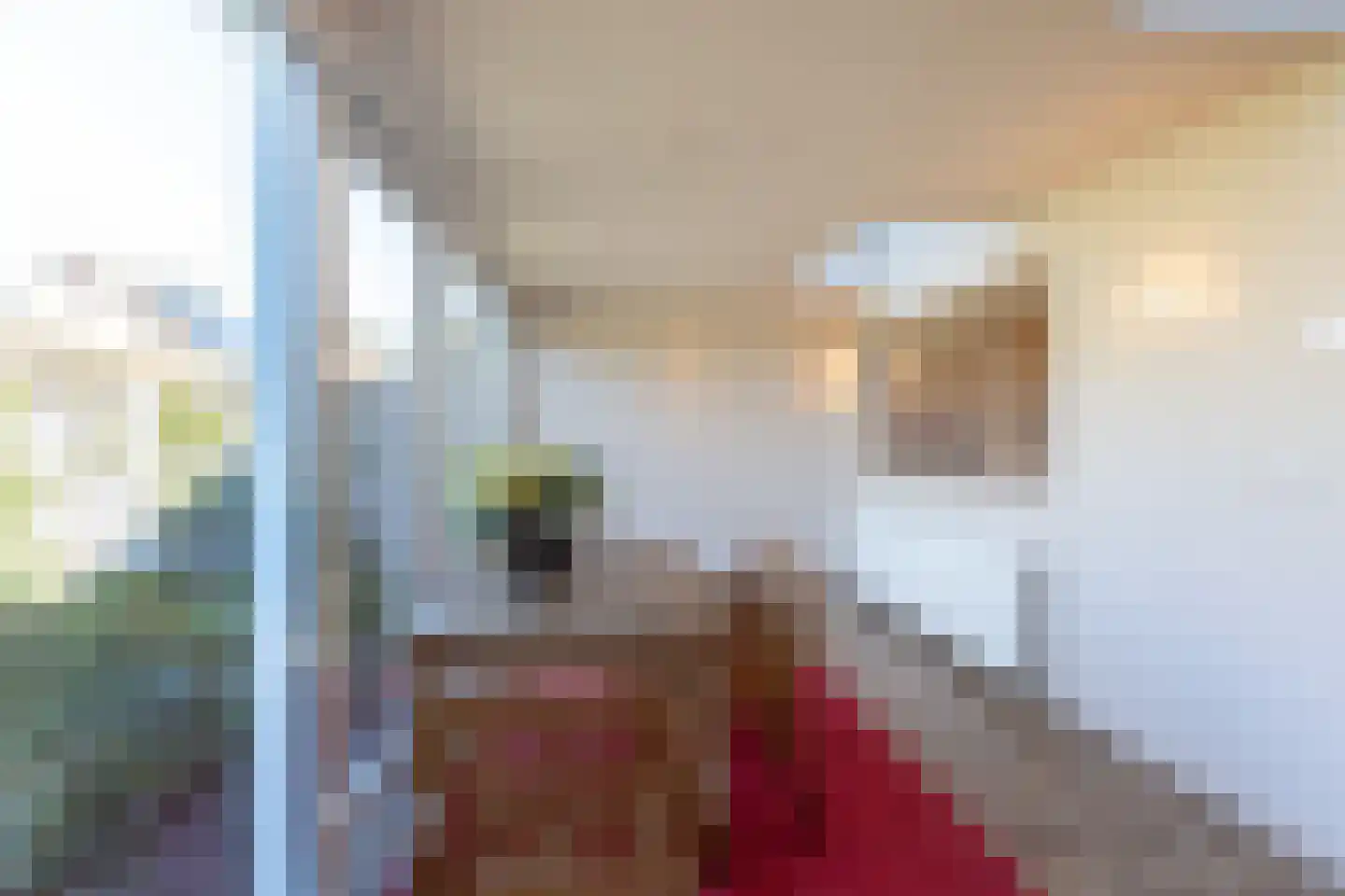 Barmentloo 26 Neede thumbnail 12