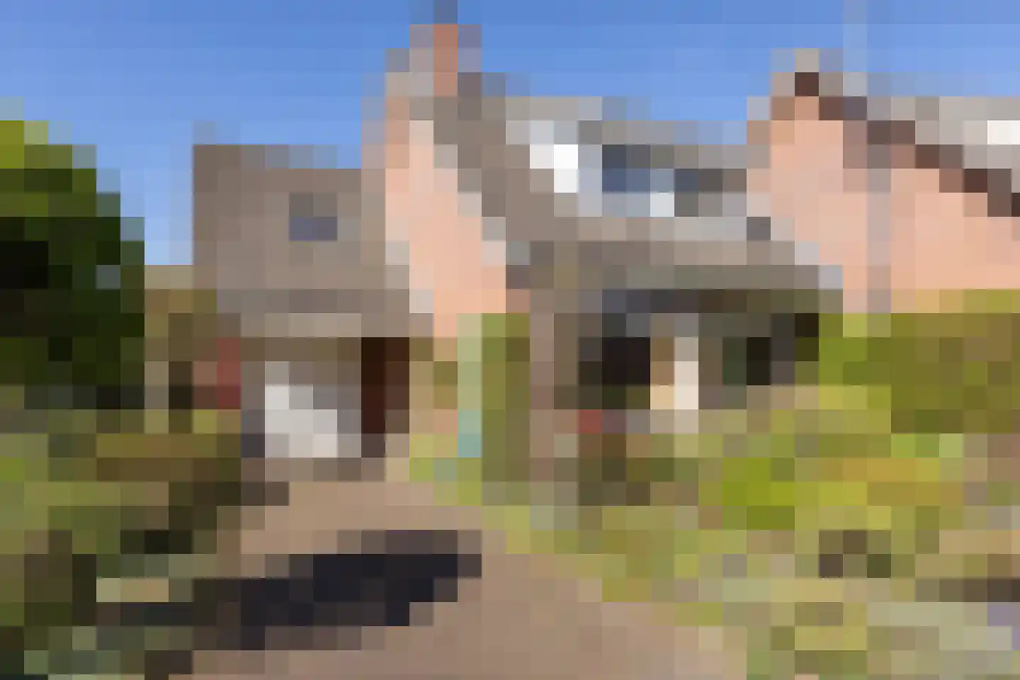 Barmentloo 26 Neede thumbnail 39