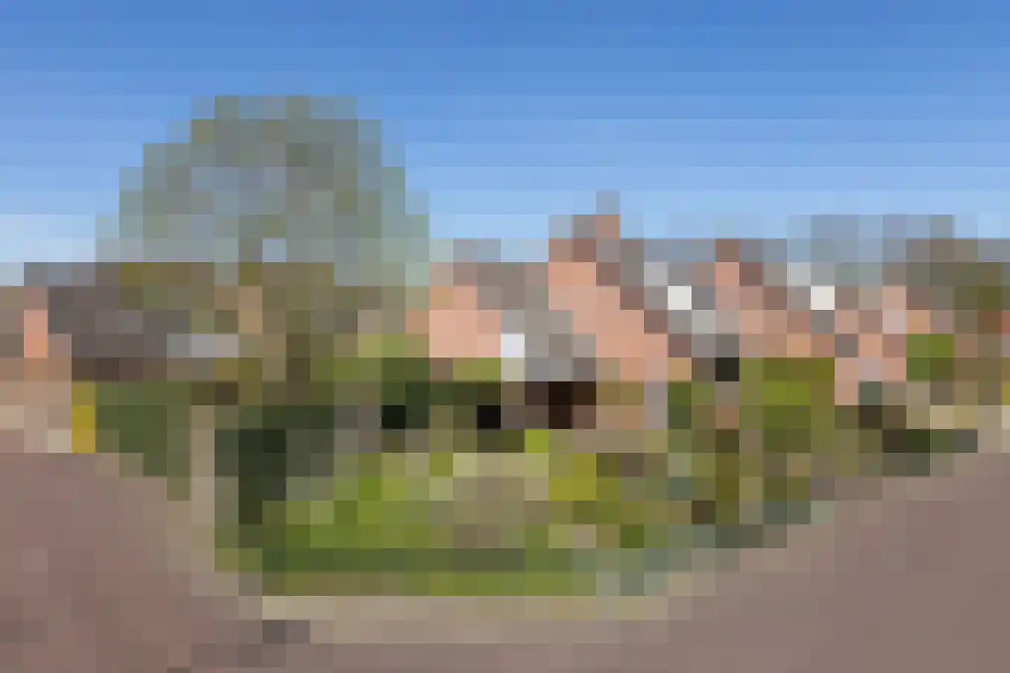 Barmentloo 26 Neede thumbnail 43