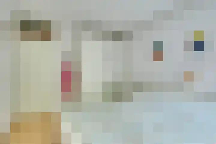 Barmsijs 14 Nieuwegein thumbnail 15