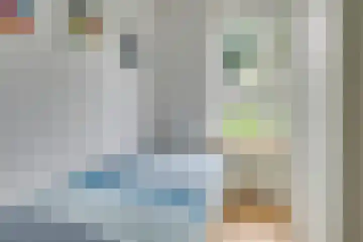 Barmsijs 14 Nieuwegein thumbnail 16