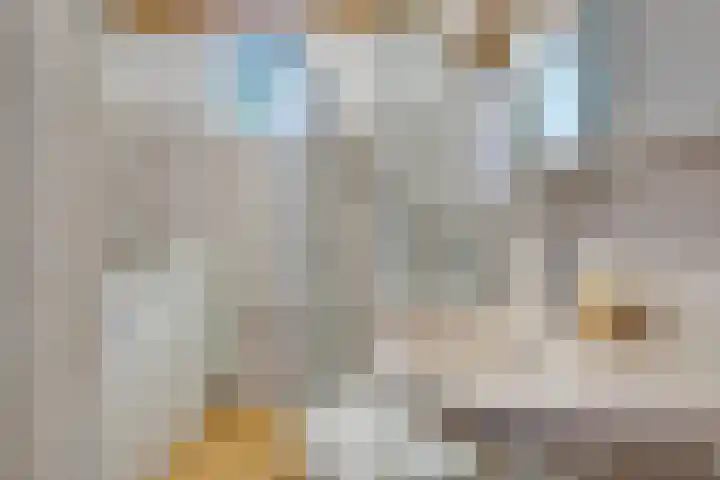Barmsijs 14 Nieuwegein thumbnail 18