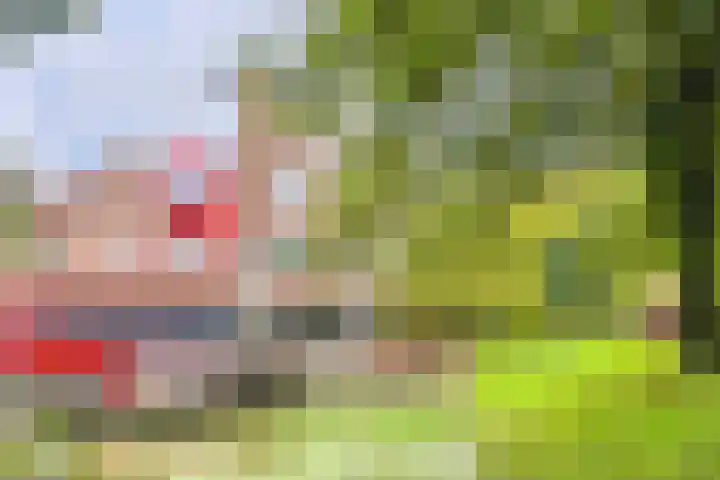 Barmsijs 14 Nieuwegein thumbnail 19
