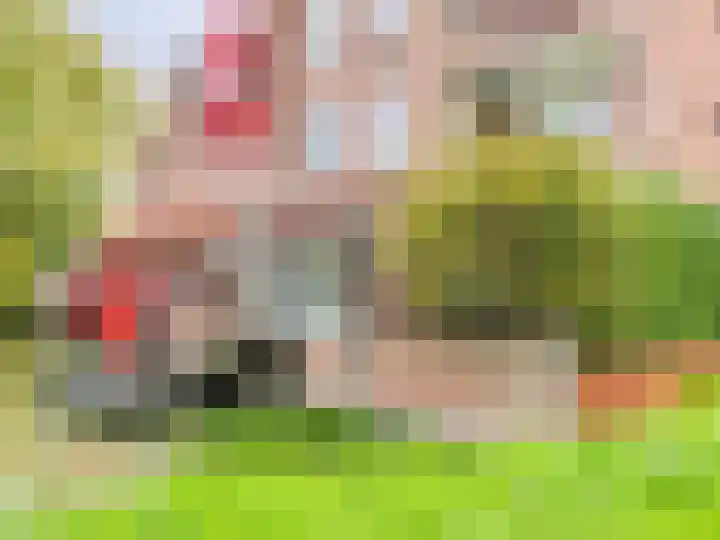 Barmsijs 14 Nieuwegein thumbnail 21