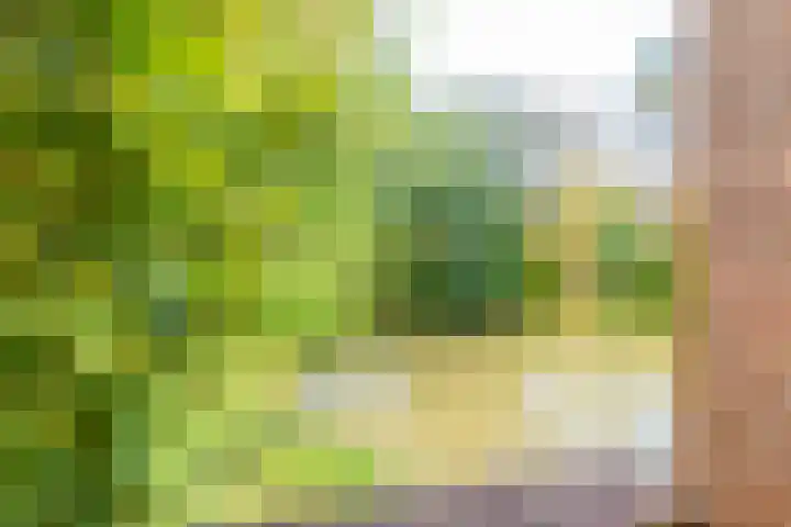 Barmsijs 14 Nieuwegein thumbnail 23