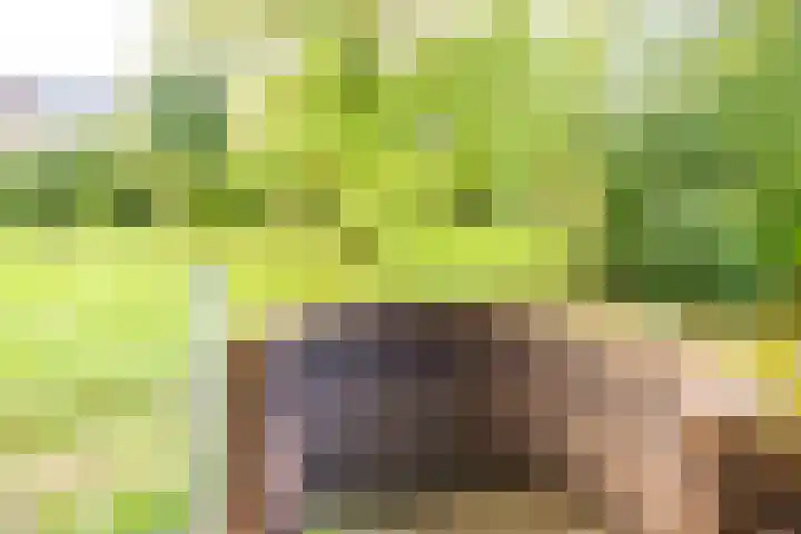 Barmsijs 14 Nieuwegein thumbnail 24