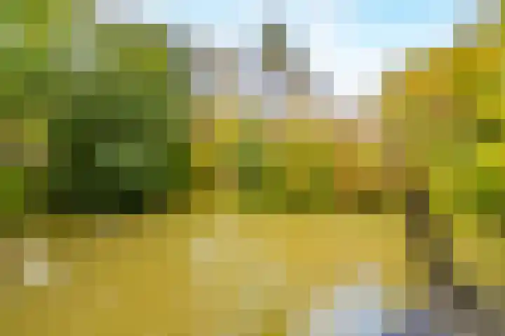 Barmsijs 14 Nieuwegein thumbnail 25