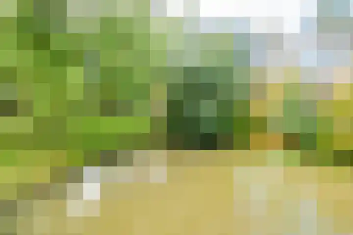 Barmsijs 14 Nieuwegein thumbnail 30