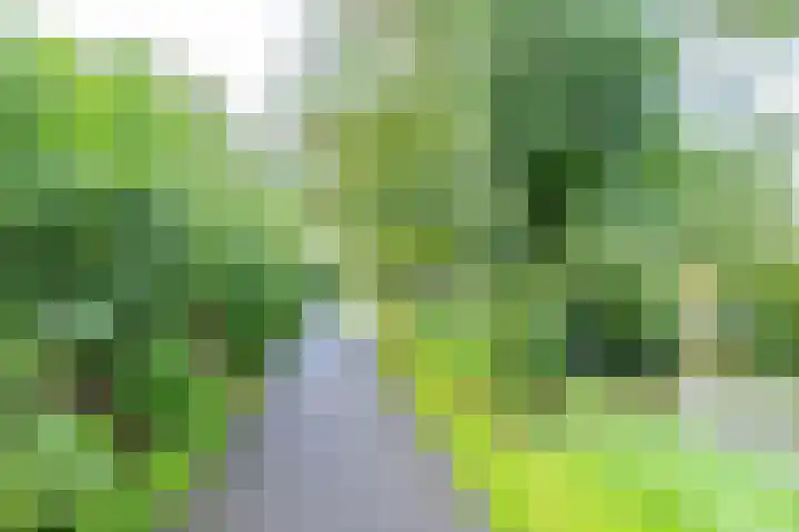 Barmsijs 14 Nieuwegein thumbnail 31