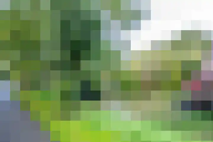 Barmsijs 14 Nieuwegein thumbnail 32